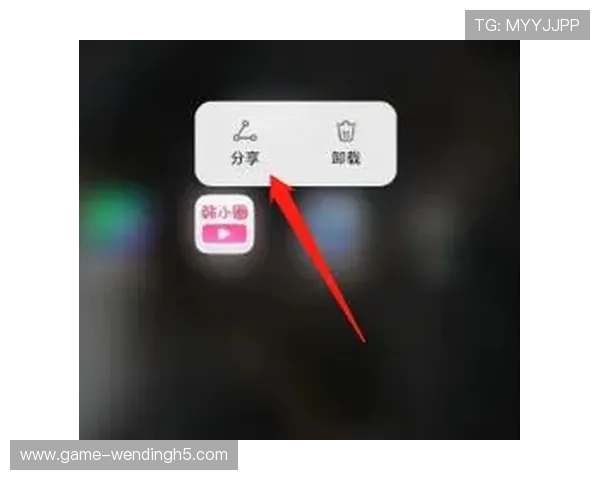 详细步骤解析问鼎国际网站下载安装流程确保用户顺利完成游戏安装