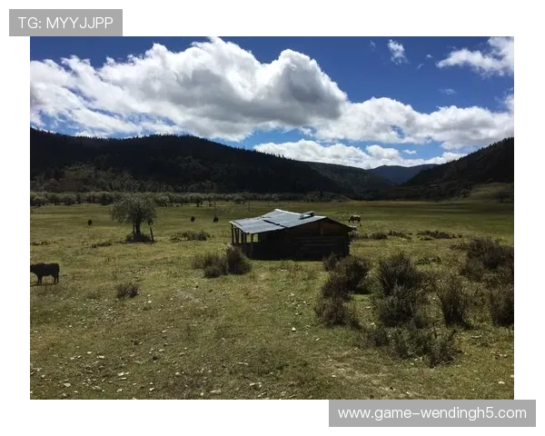 问鼎官网赏金女王活动时间安排及奖励领取流程详细介绍确保玩家不错过任何福利