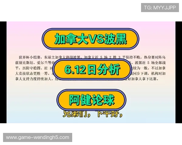 加拿大VS波黑比赛关键数据统计与战术分析报告